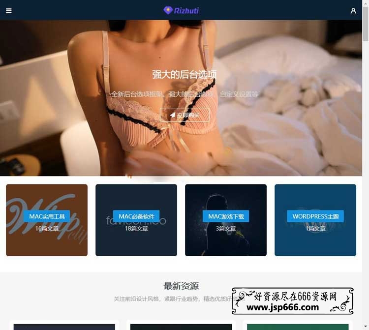 WordPress高端日主题Rizhuti3.2免授权版 虚拟资源下载网站源码