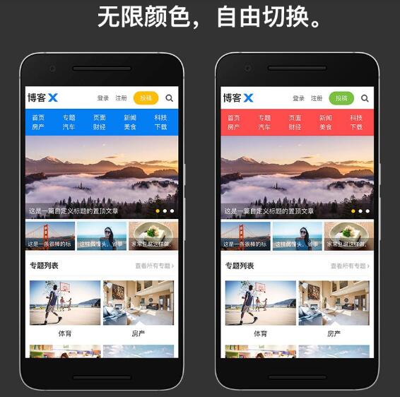 Theme Baba/Blog X WordPress 主题模板 V1.3.1 破解授权无限版-1